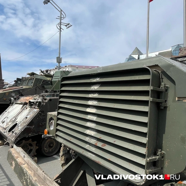 Источник: Елена Буйвол / VLADIVOSTOK1.RU