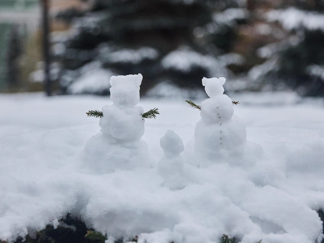 По снегу и ветру можно прикинуть погоду на несколько месяцев | Источник: Александр Ощепков / NGS.RU
