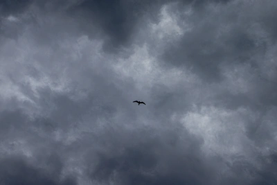 В Забайкалье 24 апреля прогнозируют ветер до 20 м/с