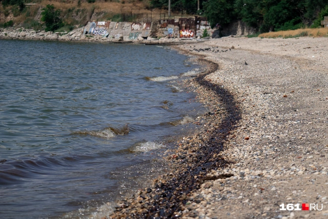 По всему берегу тянется полоска мазута, который скрывался под водой  | Источник: Евгений Вдовин / 161.RU