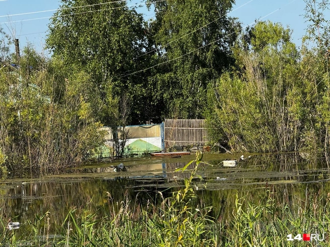 Источник: Ольга Донская / 14.RU