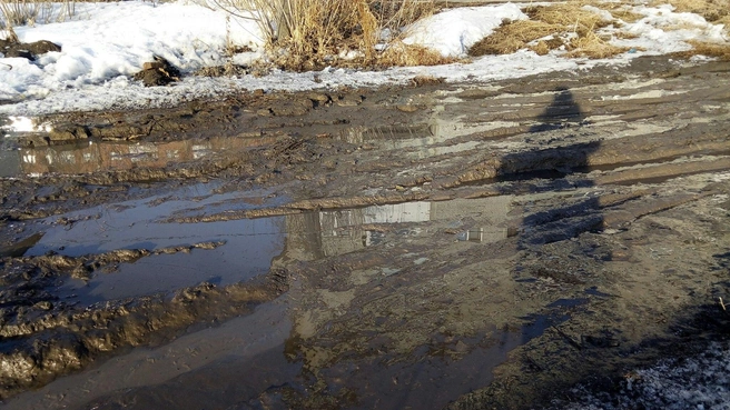 По словам автора фото, в этом году дорогу совсем «развезло» — стало гораздо хуже, чем два года назад