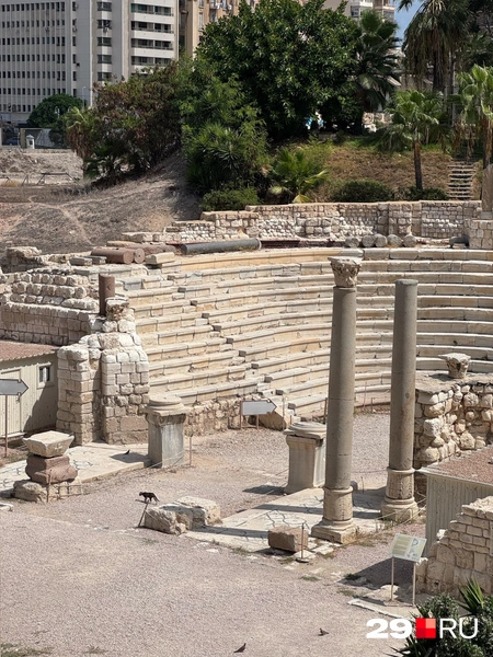 Источник: Валерия Богатырёва / 29.RU