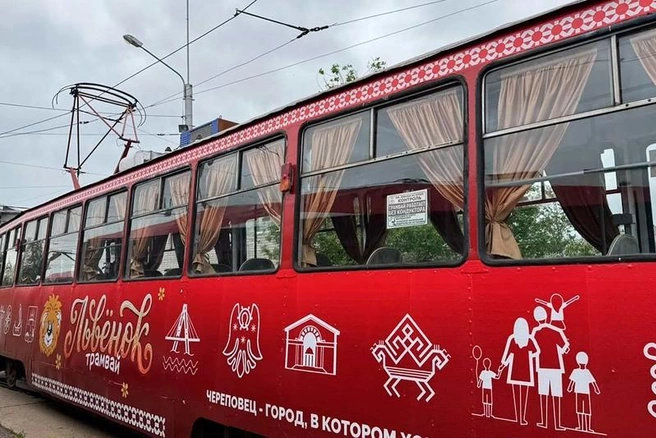 Источник: st.cherinfo.ru