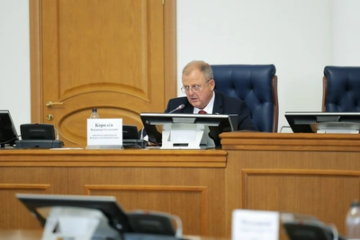 Депутаты Новгородчины предложили изменить закон о животных