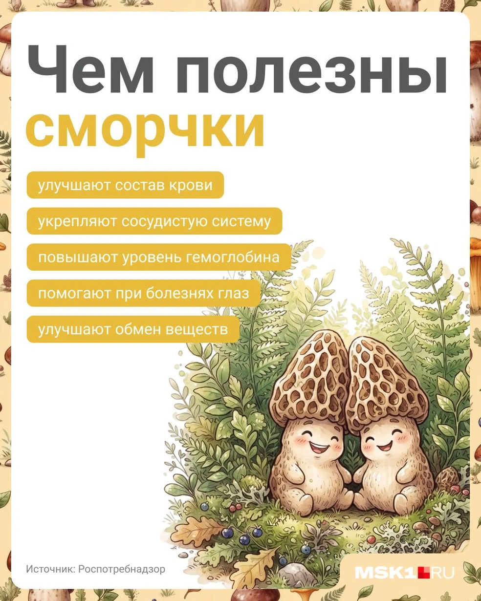 Название у этих грибов не самое приятное, но от этого они не теряют своей пользы | Источник: Полина Авдошина / Городские медиа