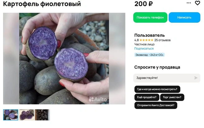 За счет толстой кожуры, такая диковинная на первый взгляд картошка долго и хорошо хранится | Источник: сайт бесплатных объявлений