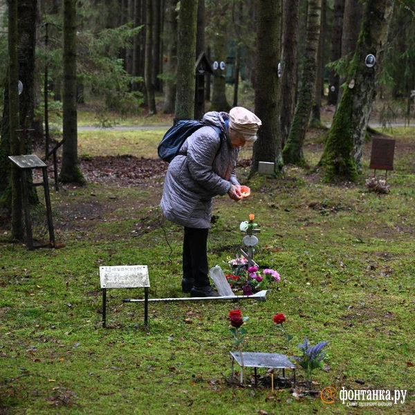 Источник: Андрей Бок / «Фонтанка.ру»