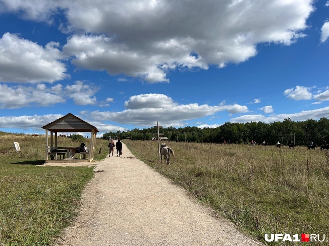 Прогулки на коняшках | Источник: Андрей Бирюков / UFA1.RU