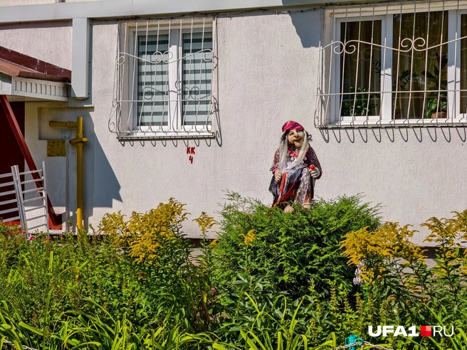 Пугает по вечерам тех, кто забрел во двор | Источник: Булат Салихов / UFA1.RU