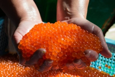 Иностранные товары на маркетплейсах подорожают из-за НДС