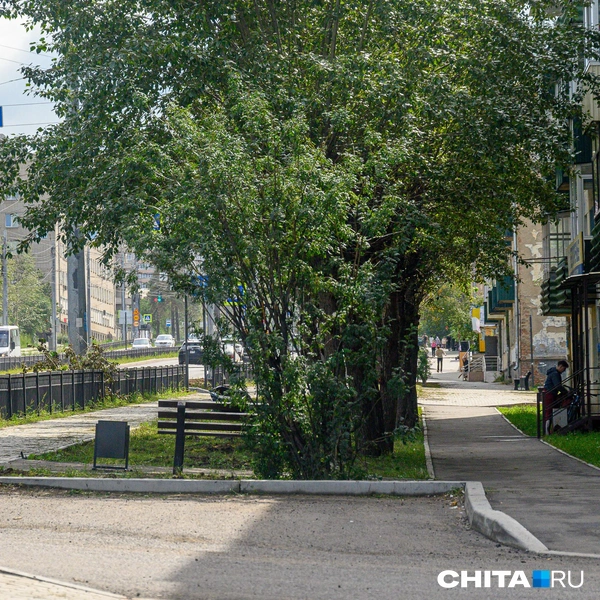 Источник: Олег Фёдоров / CHITA.RU