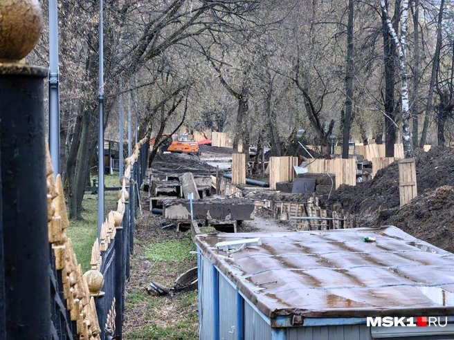 Вдалеке видно технику | Источник: Дмитрий Бондарев / MSK1.RU