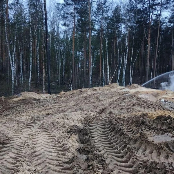 Источник: Минлесхоз по Нижегородской области
