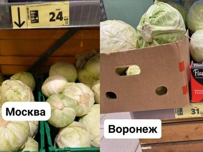 Килограмм капусты белокочанной в Воронеже оказался дороже | Источник: Мария Мишукова / Voronezh1.ru
