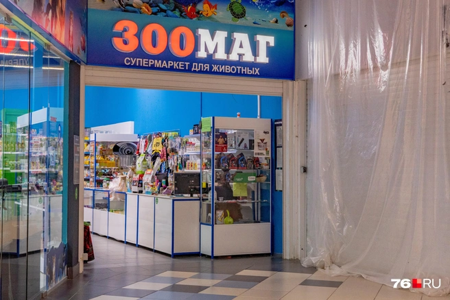 Найдется и магазин для животных | Источник: Кирилл Поверинов / 76.RU