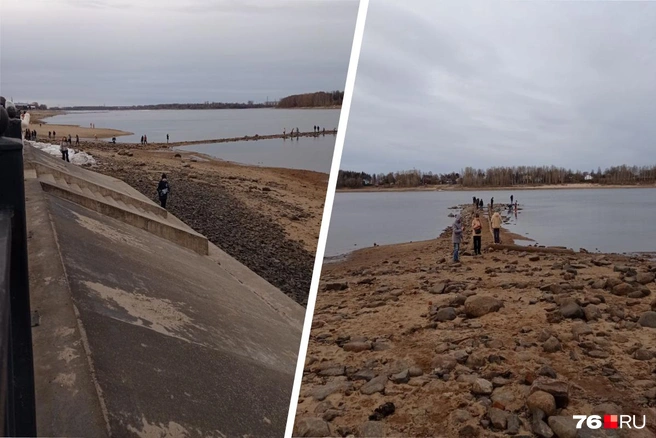 В Ярославской области понизился уровень воды в Волге | Источник: Екатерина Тихомирова 