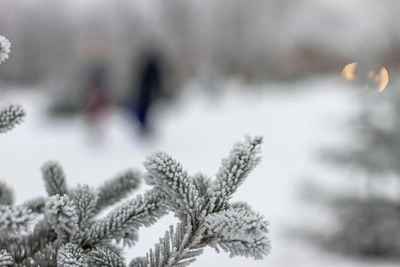 Temperatures to Drop to -32°C in Togliatti and Samara Oblast