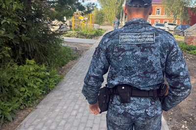Приставы взыскали 200 тыс. рублей штрафа с жителя Барышского района
