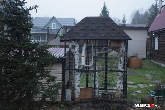 Источник: Дмитрий Толстошеев / MSK1.RU