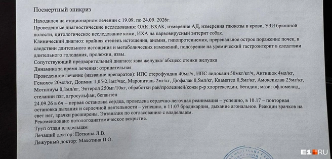 Собака была сильно истощена | Источник: читатель E1.RU