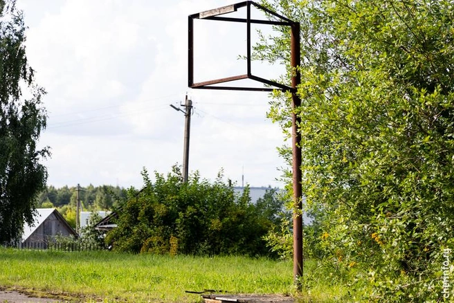 Источник: st.cherinfo.ru