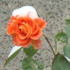 Соблюдайте скоростной режим и держите безопасную дистанцию | Источник: www.city-n.ru