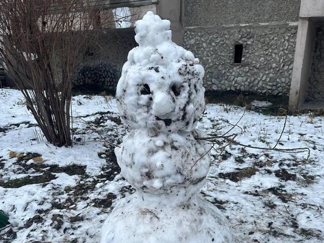 Снег в ноябре выпадает и быстро тает. | Источник: читатель E1.RU