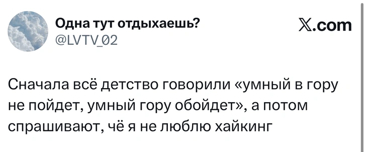 Источник: X (Twitter)