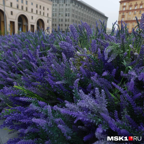 Как выяснил MSK1.RU, камни действительно сильно пачкают обувь | Источник: Артем Устюжанин / MSK1.RU