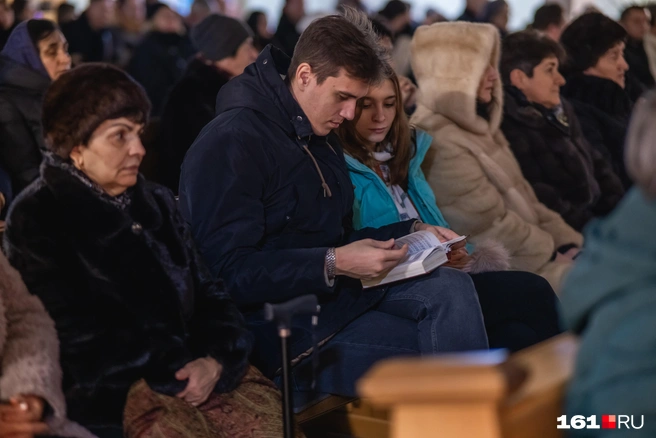 Источник: Евгений Вдовин / 161.RU