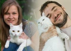 Как живет самая популярная кошка в России: 20 фото, которые вызывают зависть