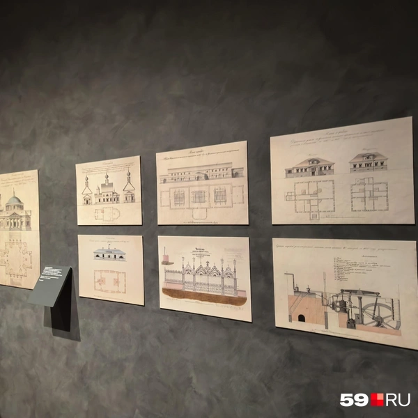 Источник: Василина Любимова / 59.RU