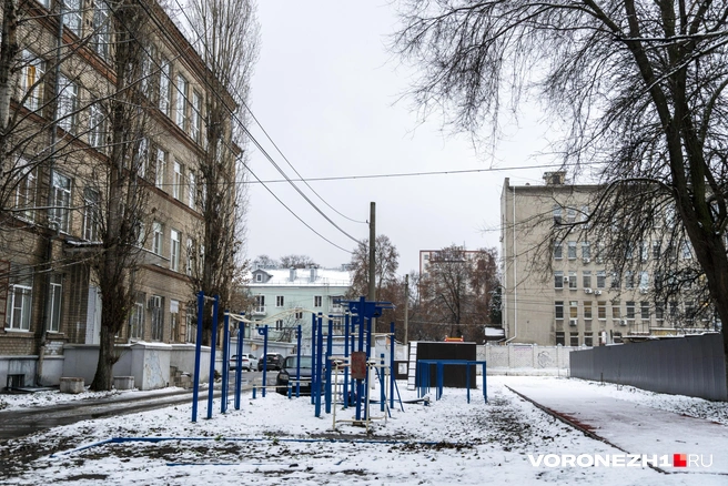 Источник: Дмитрий Волгин / Voronezh1.ru