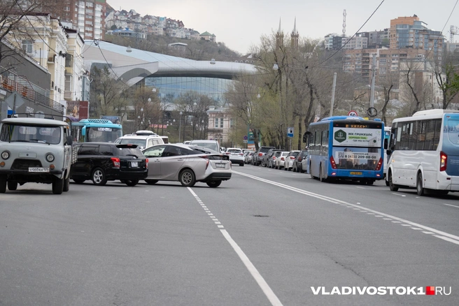 Источник: Елена Буйвол / VLADIVOSTOK1.RU