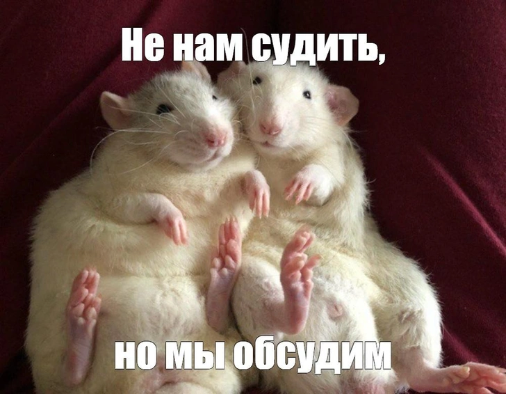 10 забавных мемов о дружбе — порадуй свою подругу | Источник: Соцсети