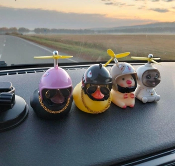 Целый отряд из уток и другой живности | Источник: Читатель NGS24.RU