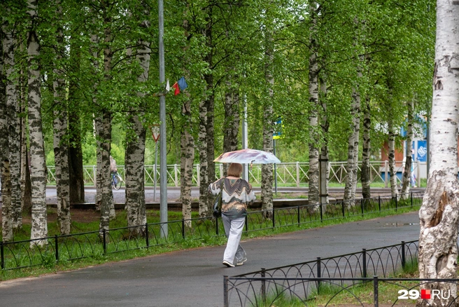 Источник: Иван Митюшёв / 29.RU