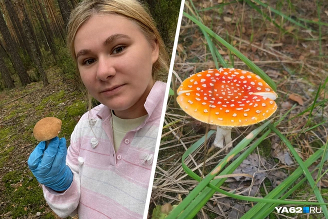 Зато ни с чем не путала мухомор! | Источник: Виктория Улитова / YA62.RU