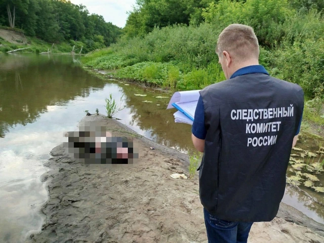 43-летний мужчина погиб, плавая в реке Хопер | Источник: СУ СКР по Саратовской области