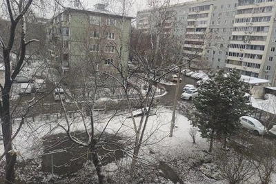 В Амурской области 25 апреля ожидаются ветер и осадки