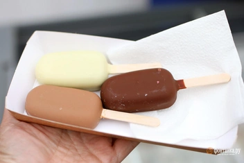 Мороженое с щавелем, вкусом козули и с клюквой | Источник: Ксения Потеева / «Фонтанка.ру»