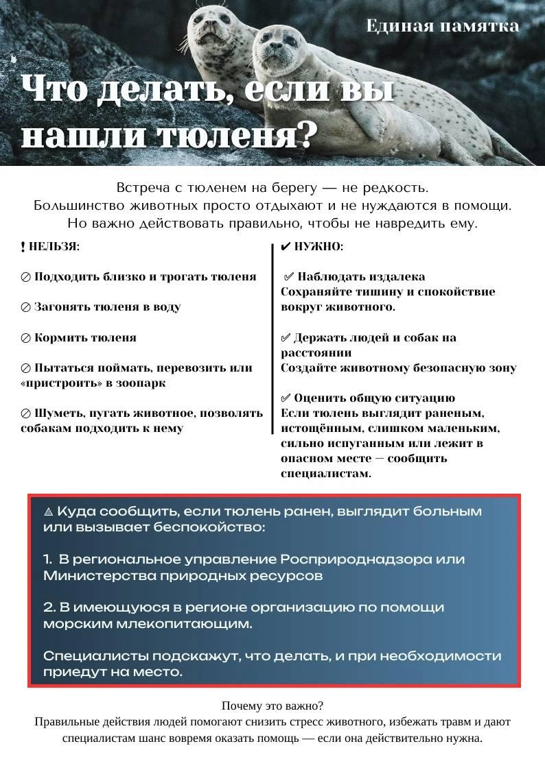Источник: Анастасия Куница&nbsp;— специалист по морским млекопитающим