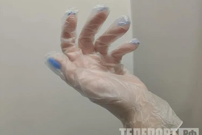 В Приамурье резко возросло число укусов клещей