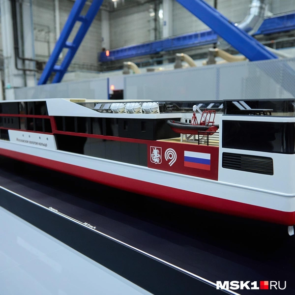 Источник: Дмитрий Толстошеев / MSK1.RU