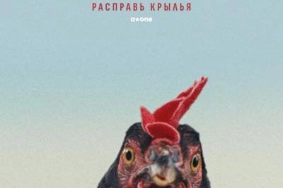 В Петербурге стартует Фестиваль авторского кино КАРО/АРТ