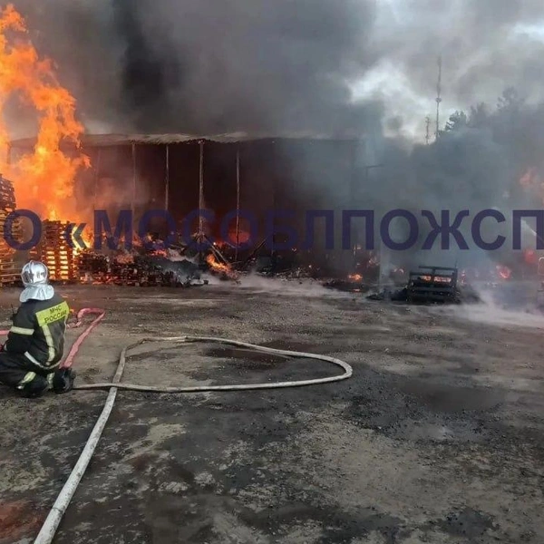 Источник: ГКУ МО «Мособлпожспас» / T.me