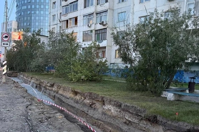 МКУ «Главстрой» срубит деревья на улице Ойунского
