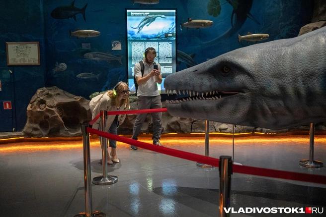 За час можно прожить миллиарды лет | Источник: Елена Буйвол / VLADIVOSTOK1.RU