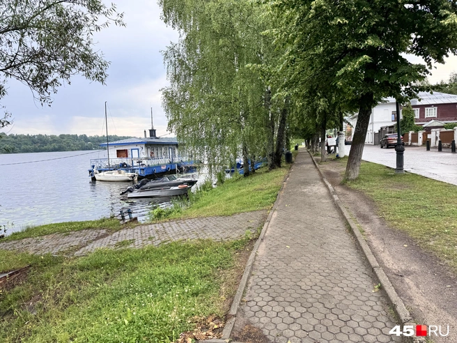 Источник: Юлия Король / 45.RU